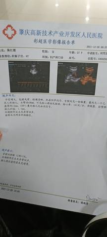 journal_insert_pic_1687602676