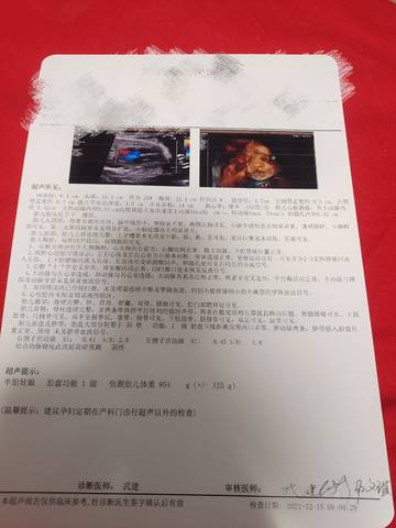 journal_insert_pic_1689650681