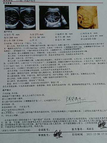 journal_insert_pic_1675540454