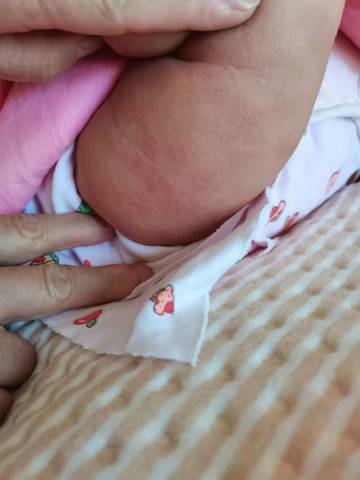 journal_insert_pic_1674417529