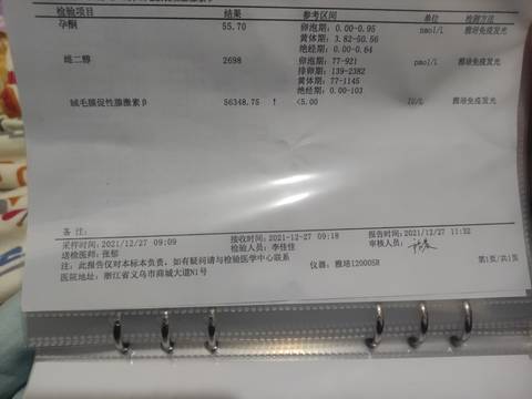 journal_insert_pic_1688573495