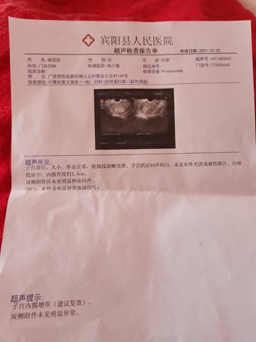 journal_insert_pic_1679208061