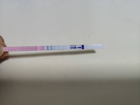 journal_insert_pic_1688558768