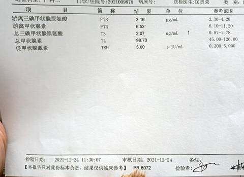 journal_insert_pic_1689861760