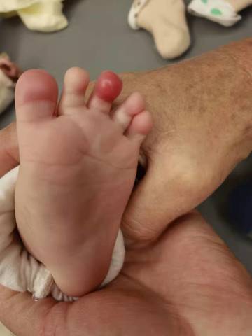 journal_insert_pic_1676374930