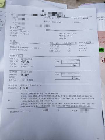 journal_insert_pic_1681555931