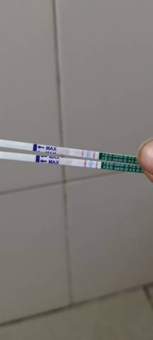 journal_insert_pic_1682124824