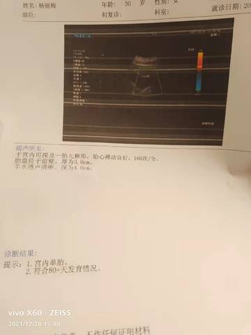 journal_insert_pic_1687889002