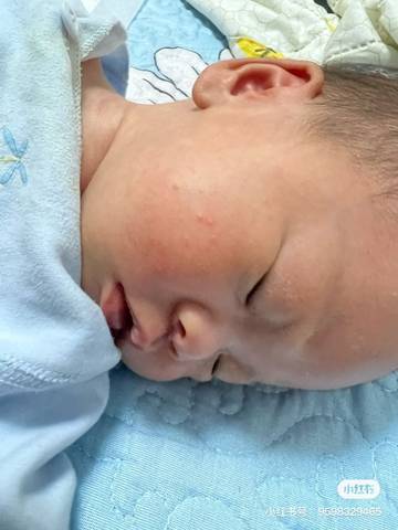 journal_insert_pic_1686195628