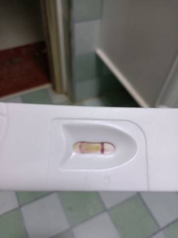 journal_insert_pic_1675264062