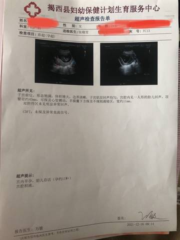 journal_insert_pic_1681772234