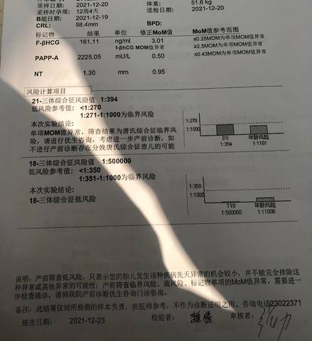 journal_insert_pic_1685380166