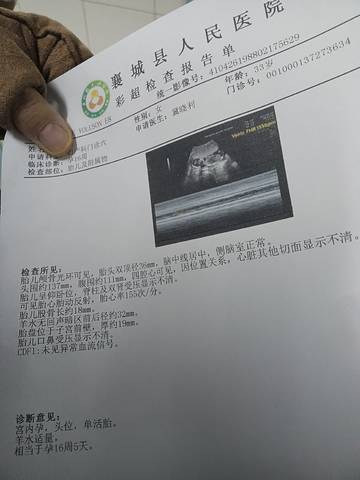 journal_insert_pic_1685766664