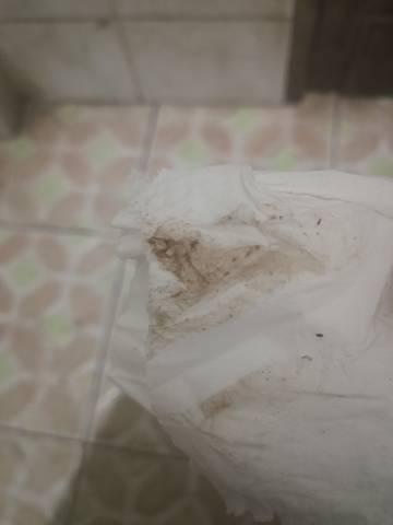 journal_insert_pic_1686297817