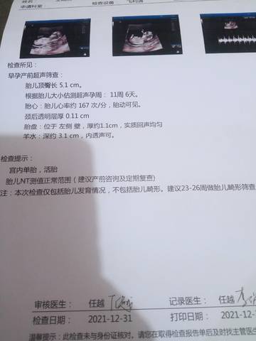 journal_insert_pic_1689670456