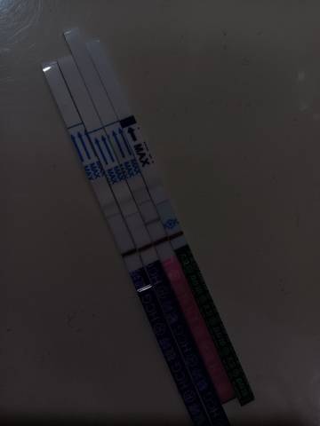 journal_insert_pic_1674492422