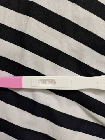 journal_insert_pic_1682662008