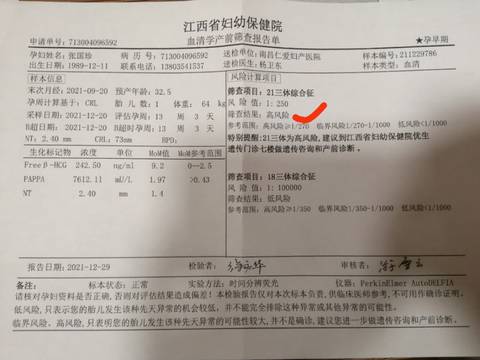 journal_insert_pic_1689669788