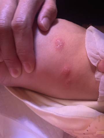 journal_insert_pic_1674962196