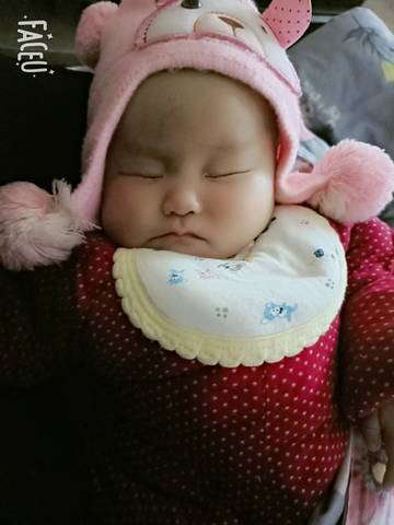 journal_insert_pic_1677808196
