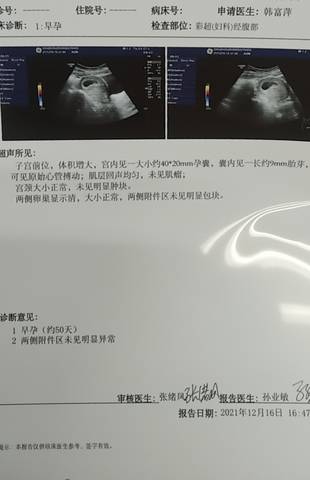 journal_insert_pic_1681326902
