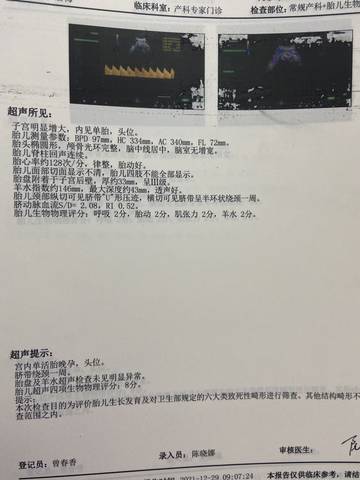 journal_insert_pic_1689773620