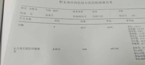 journal_insert_pic_1687809337