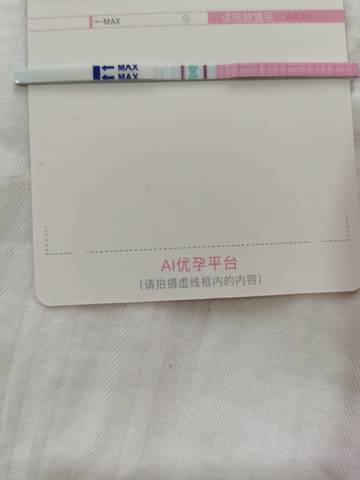 journal_insert_pic_1683452483