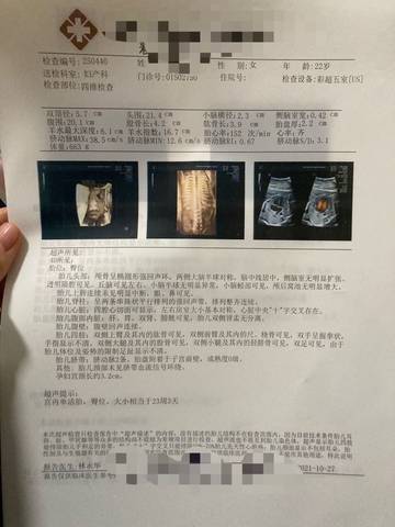journal_insert_pic_1682088396