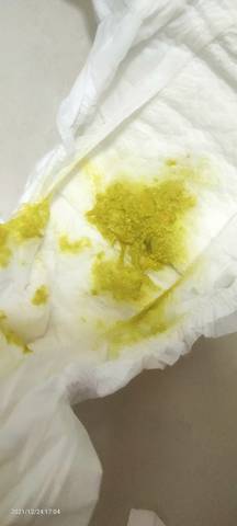 journal_insert_pic_1685399640