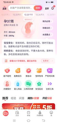 journal_insert_pic_1684571662