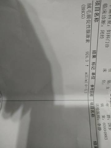 journal_insert_pic_1676925062