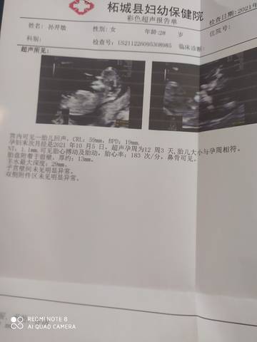 journal_insert_pic_1686634652