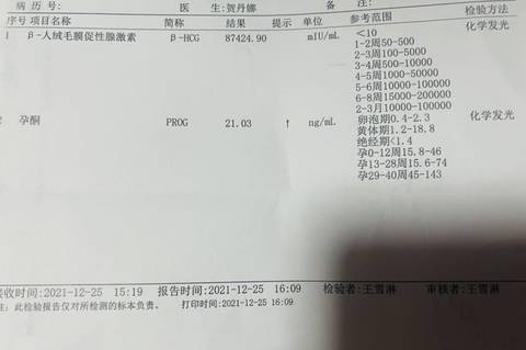 journal_insert_pic_1686143510