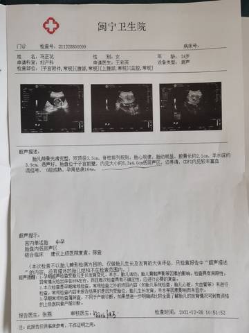 journal_insert_pic_1688559325