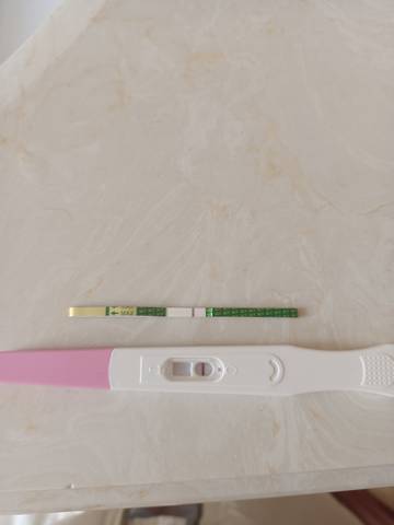 journal_insert_pic_1689497525