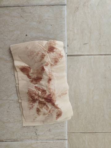 journal_insert_pic_1676608677