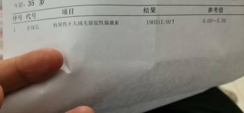 journal_insert_pic_1685389632