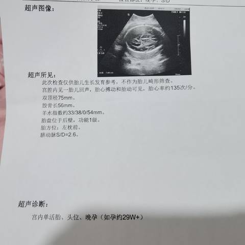 journal_insert_pic_1676433946