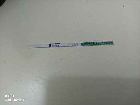 journal_insert_pic_1683951502