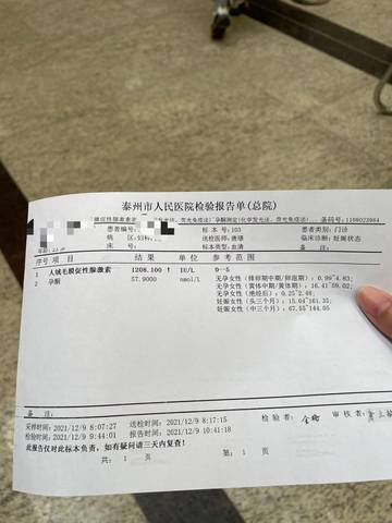 journal_insert_pic_1677041091