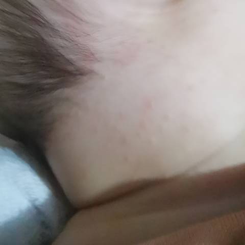 journal_insert_pic_1686737160