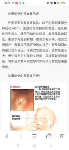 journal_insert_pic_1689334736
