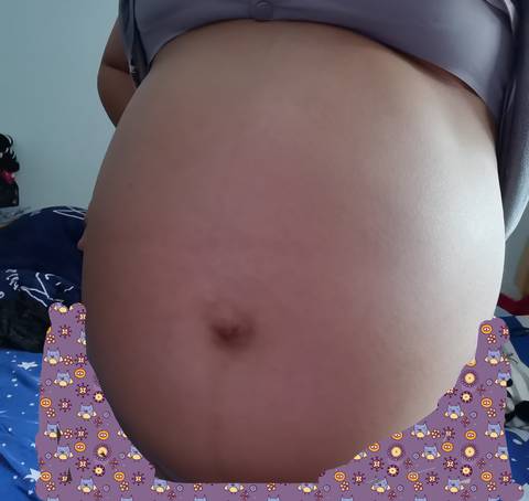 journal_insert_pic_1685124455