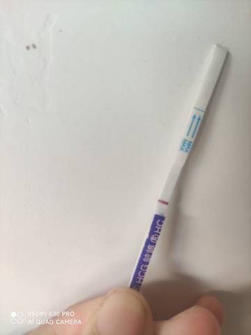 journal_insert_pic_1688311953