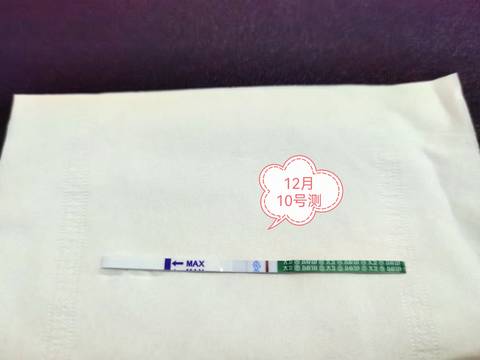 journal_insert_pic_1678868426