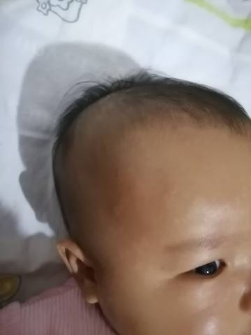 journal_insert_pic_1687267785