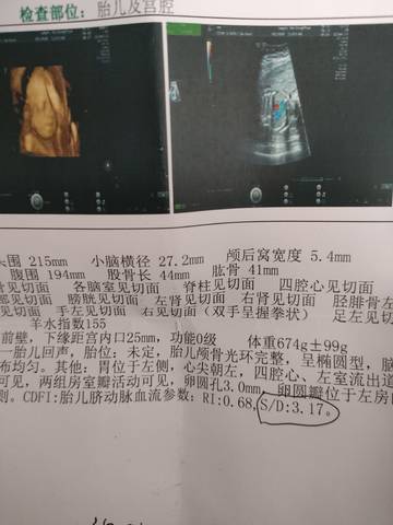 journal_insert_pic_1680138675