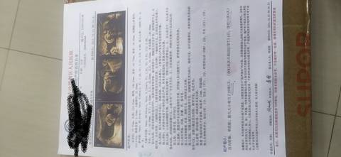 journal_insert_pic_1686522871