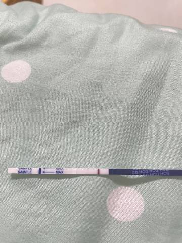 journal_insert_pic_1683544686